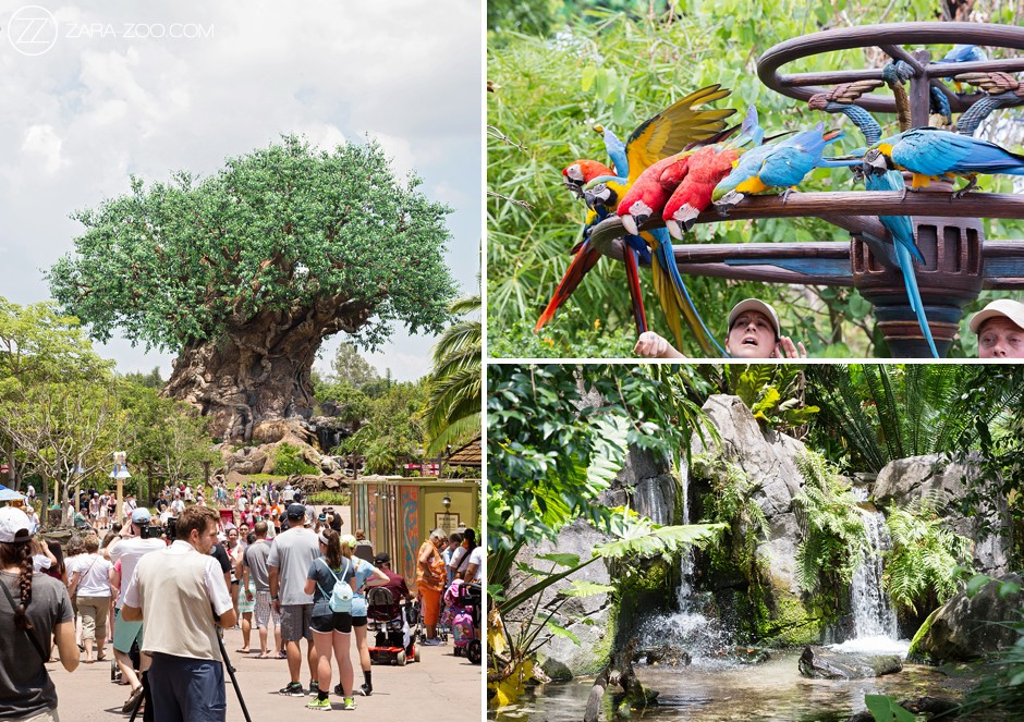Incentive Travel Photos