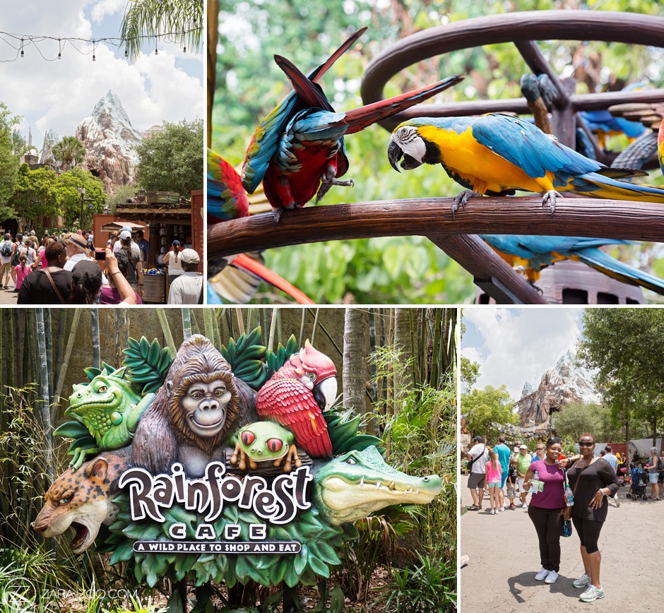 Incentive Travel Photos